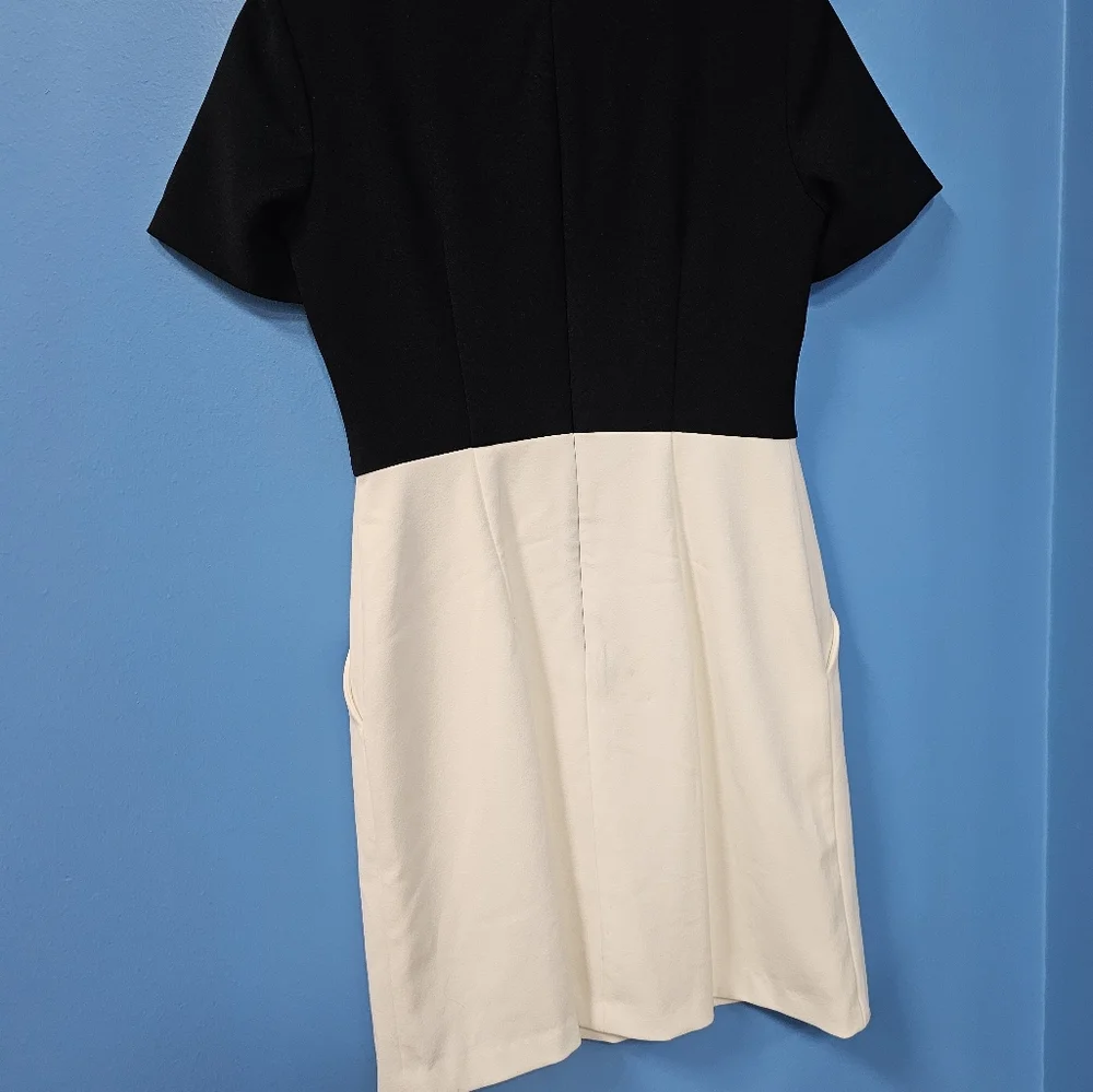 Maggy London Petites Short Dress Black and White - Picture 11 of 11
